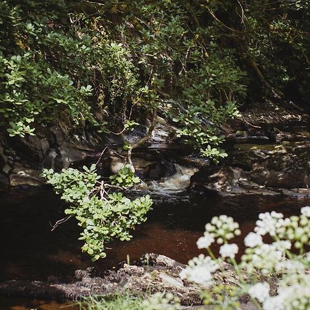 River Cottage, A Luxurious And Cosy Riverside Cottage For Two Welshpool Extérieur photo