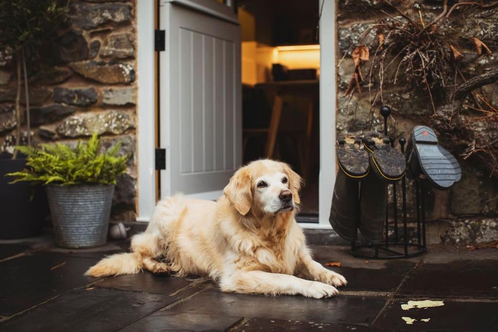 River Cottage, A Luxurious And Cosy Riverside Cottage For Two Welshpool Extérieur photo